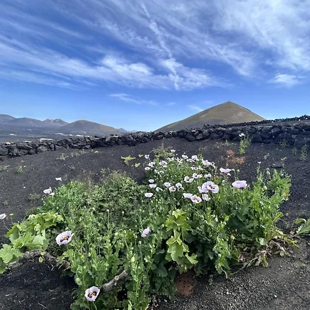 Bio La Asomada Tías
